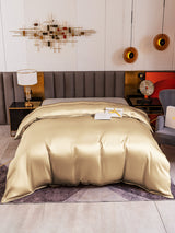 [Beige] SilkSilky-DK 19Momme Duvet Covers 002