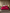 [Vin] SilkSilky-DK 19Momme Bedding Set 002