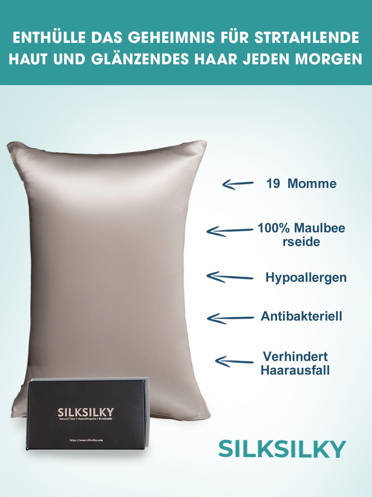 [Grå] SilkSilky-DK 19Momme Pillowcase 002