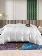 [Sølv] SilkSilky-DK 25Momme Duvet Covers 002