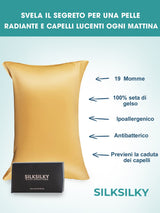 [Champagne] SilkSilky-DK 19Momme Pillowcase 003