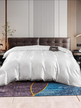[Sølv] SilkSilky-DK 22Momme Duvet Covers 001