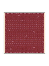 [Vin] SilkSilky-DK Scarf 001