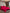 [Vin] SilkSilky-DK 19Momme Pure Silk Bedding Set 001