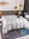 SilkSilky-DK-19Momme-Pure-Silk-Duvet-Cover-Sølv-002